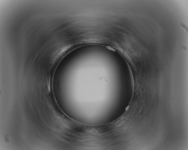 X0000096460062200801311521