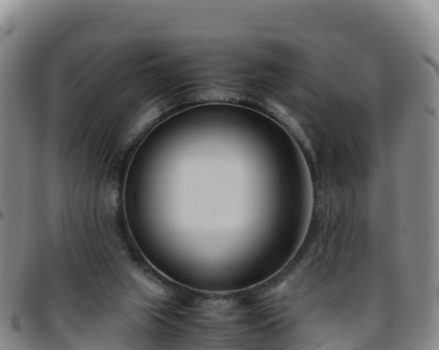 X0000096460063200801311521