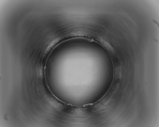 X0000096460064200801311521