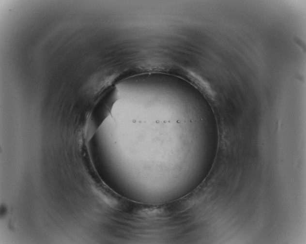 X0000096460065200801311521