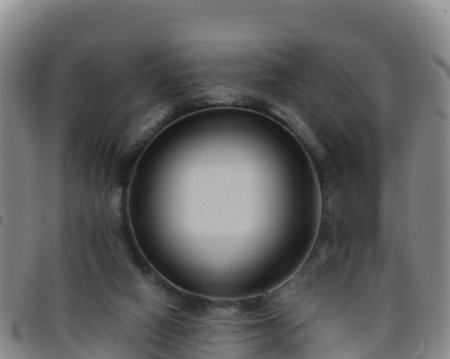 X0000096460066200801311521