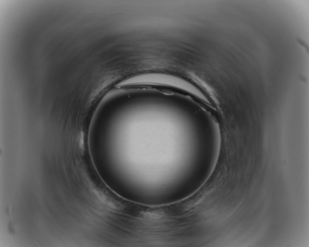 X0000096460067200801311521