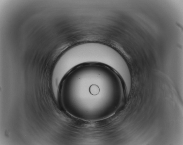 X0000096460068200801311521