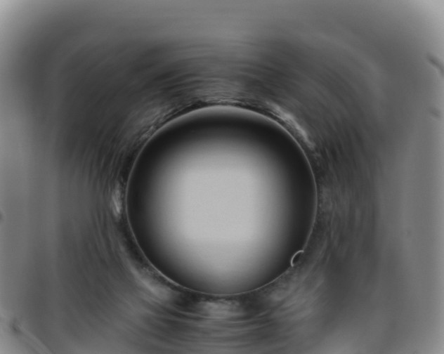X0000096460069200801311521