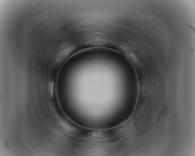 X0000096460070200801311521