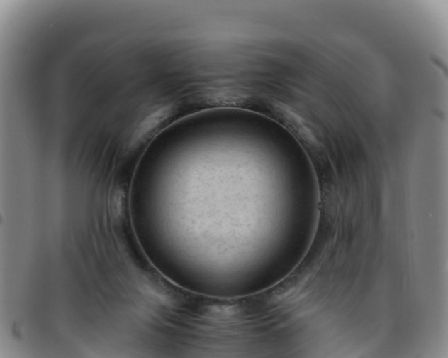 X0000096460071200801311521