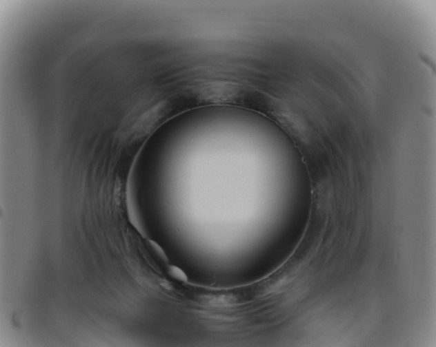 X0000096460073200801311521