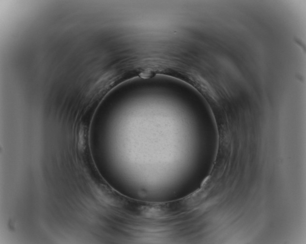 X0000096460074200801311521