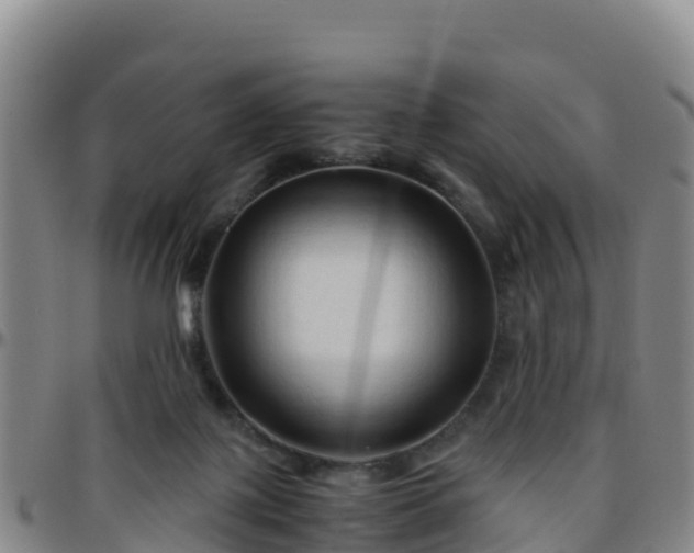 X0000096460075200801311521