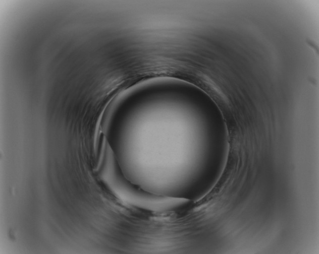 X0000096460076200801311521