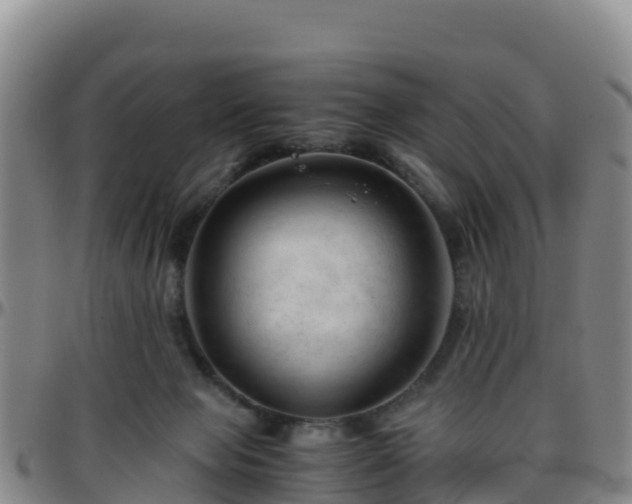 X0000096460077200801311521
