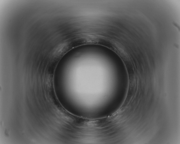 X0000096460078200801311521