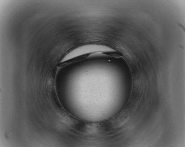 X0000096460079200801311521