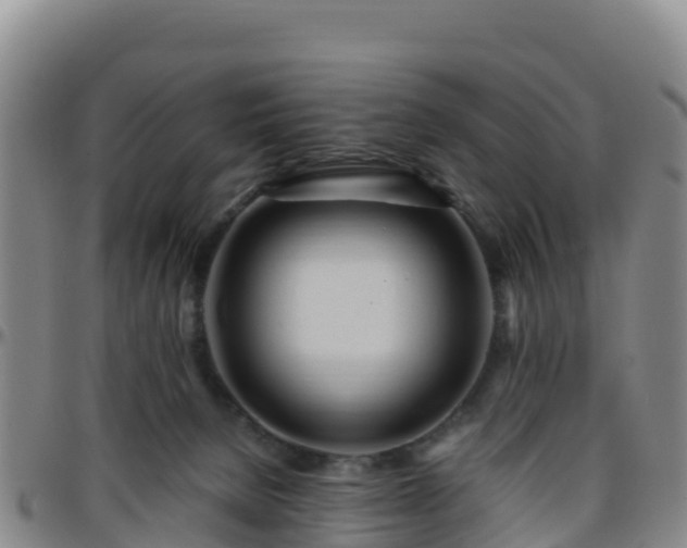 X0000096460080200801311521