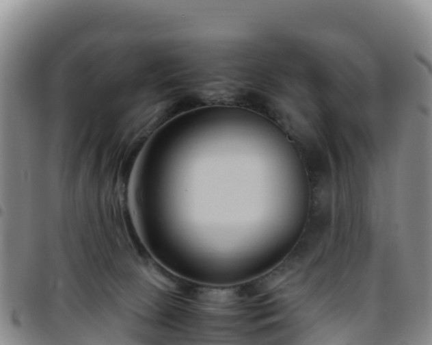 X0000096460081200801311521