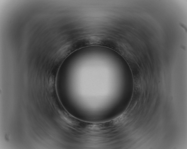 X0000096460082200801311521