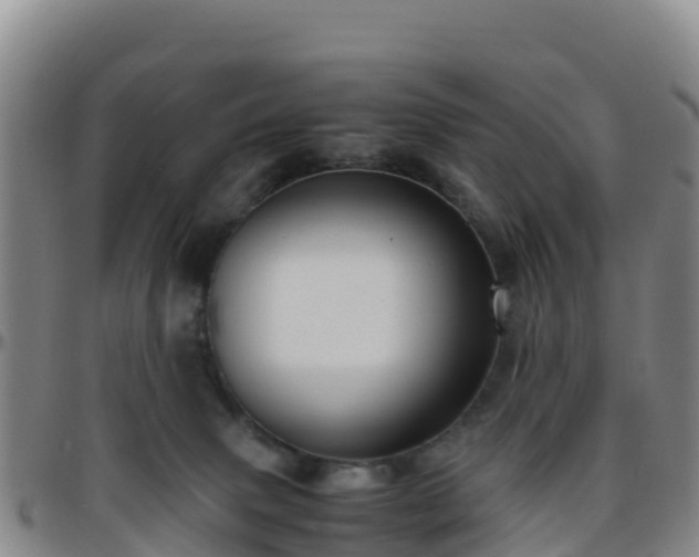 X0000096460083200801311521