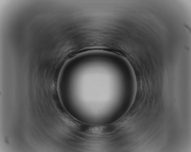 X0000096460084200801311521