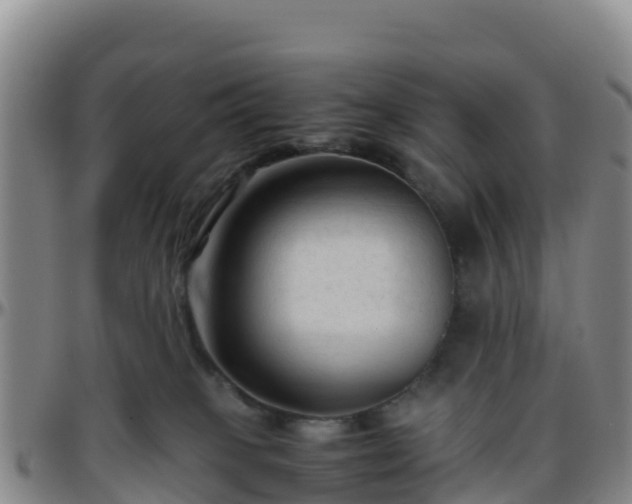 X0000096460085200801311522