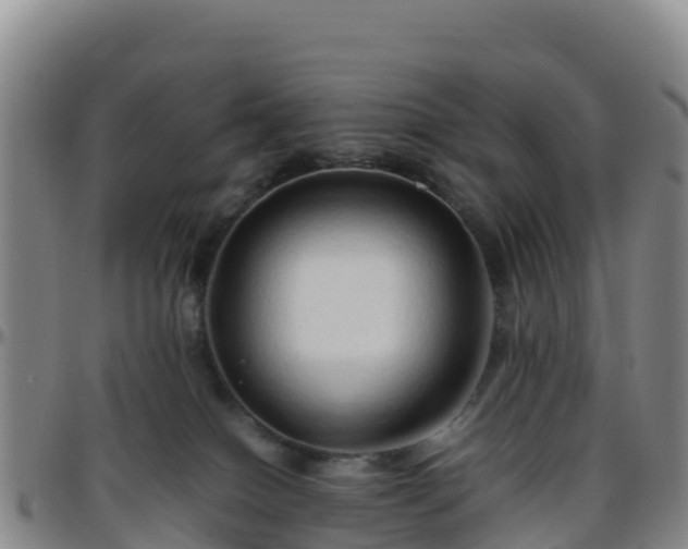 X0000096460086200801311522