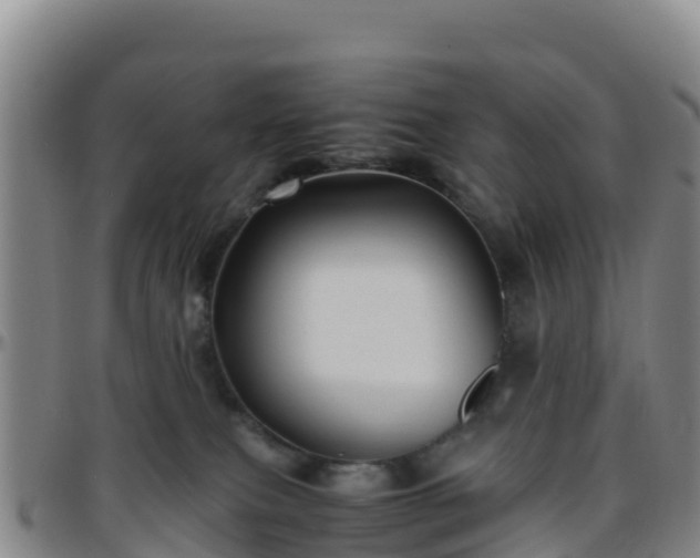 X0000096460087200801311522