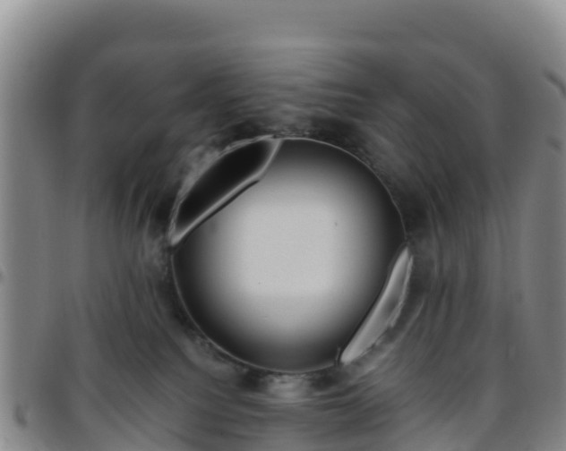 X0000096460088200801311522