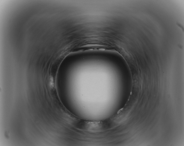 X0000096460089200801311522