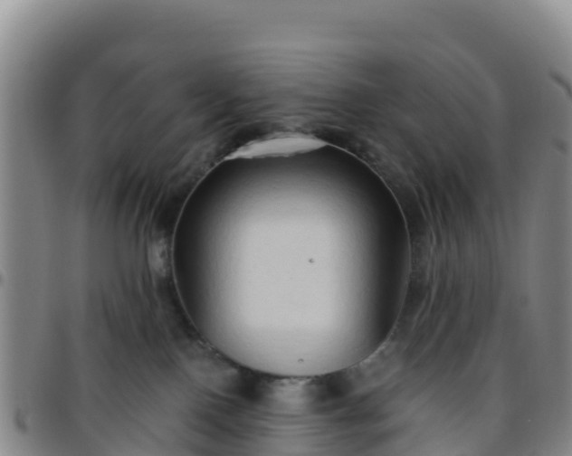 X0000096460090200801311522