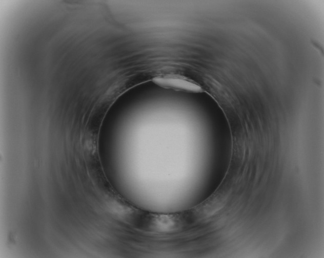 X0000096460091200801311522