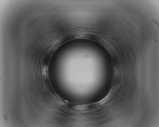 X0000096460094200801311522