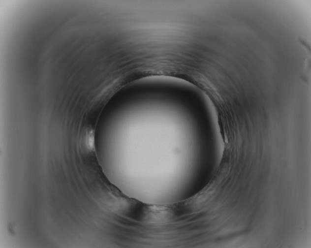 X0000096460095200801311522