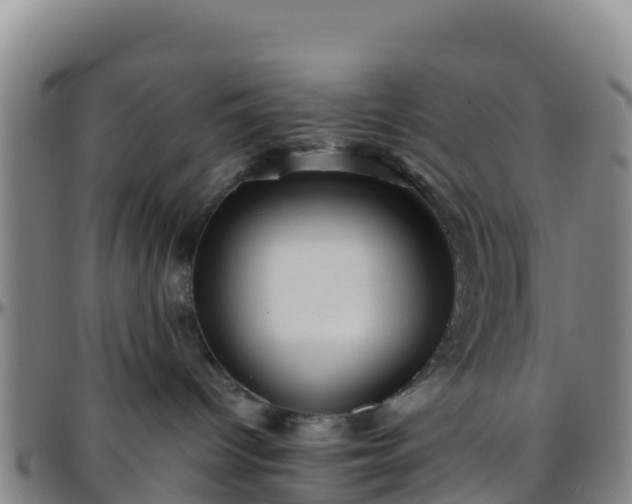 X0000096460096200801311522