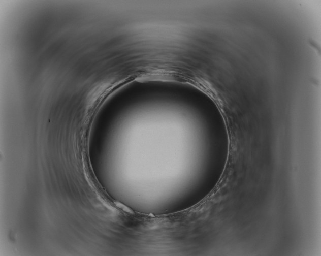 X0000096460097200801311521