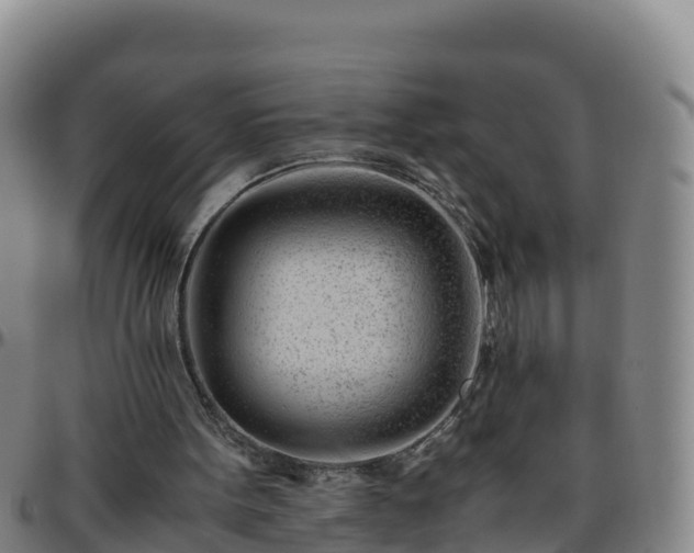 X0000096460099200801311521