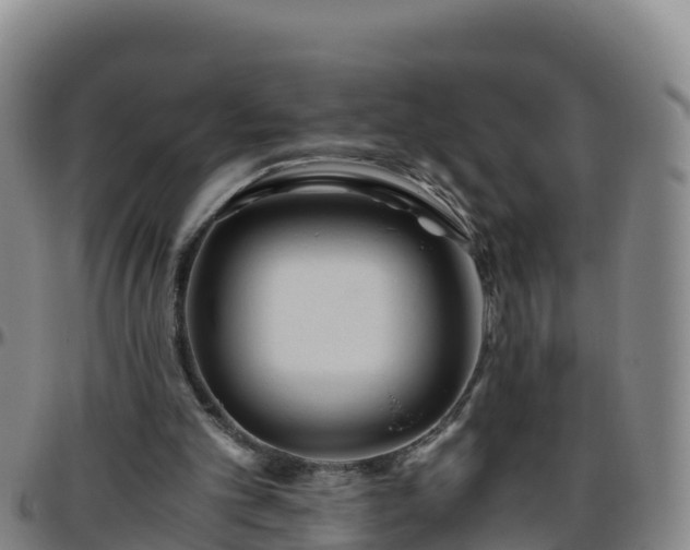 X0000096460101200801311521