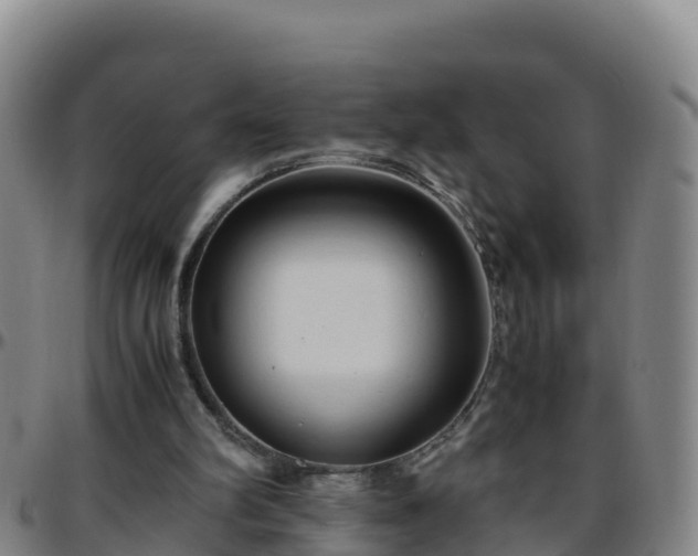 X0000096460102200801311521