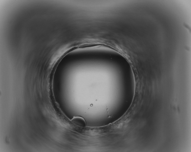 X0000096460103200801311521