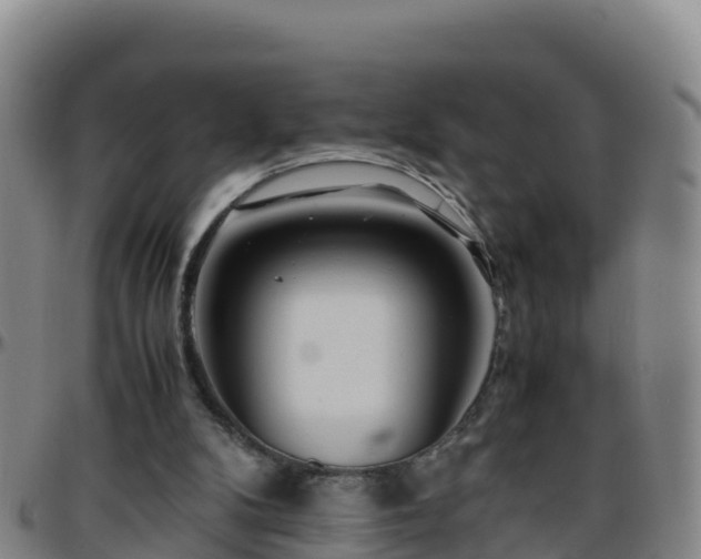 X0000096460104200801311521