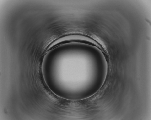 X0000096460105200801311521