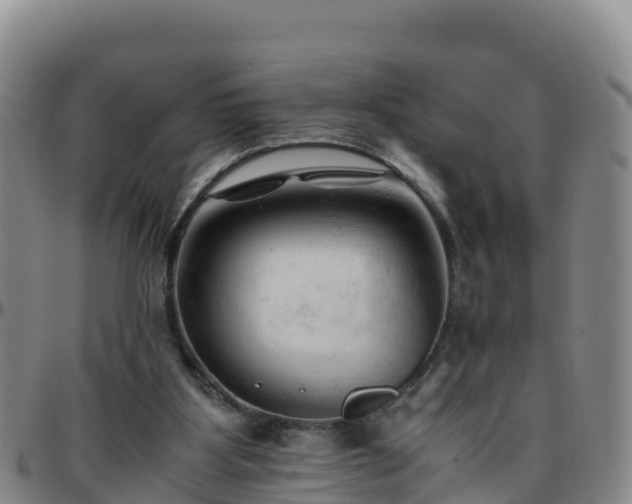 X0000096460107200801311521