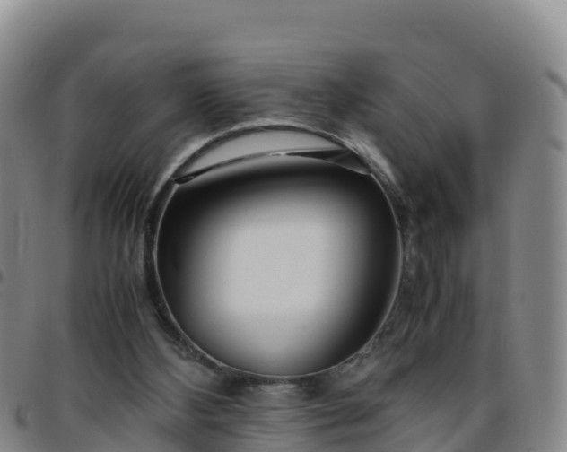 X0000096460108200801311521