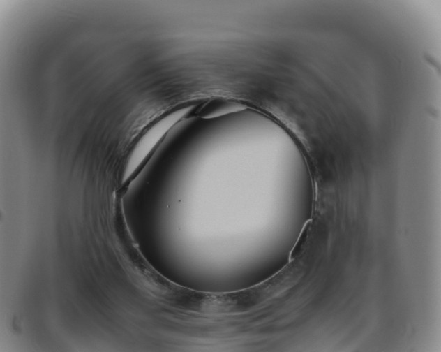 X0000096460109200801311521