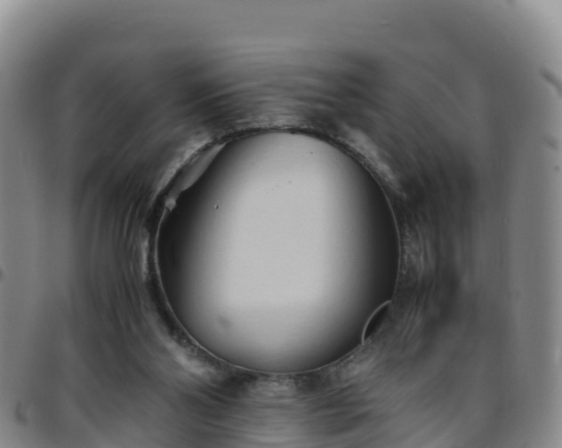 X0000096460110200801311521