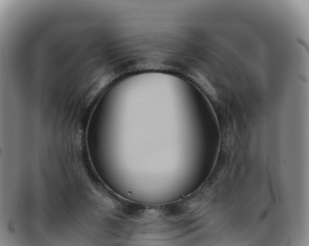 X0000096460111200801311521