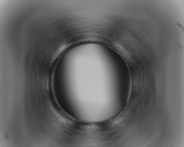 X0000096460112200801311521