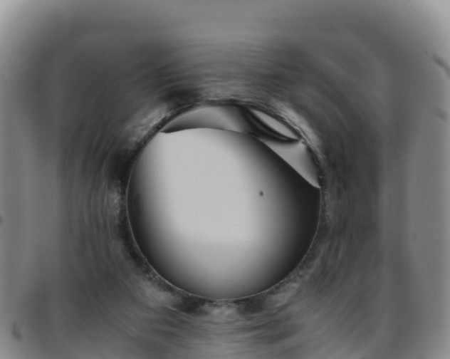 X0000096460113200801311521