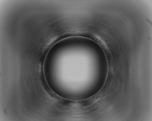 X0000096460115200801311521