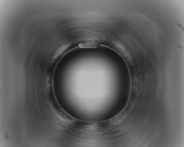 X0000096460116200801311521