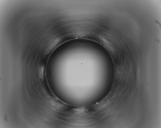 X0000096460118200801311521
