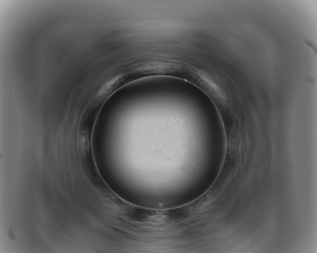 X0000096460119200801311521